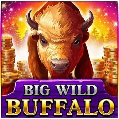 Play Big Wild Buffalo Mr Punter casino